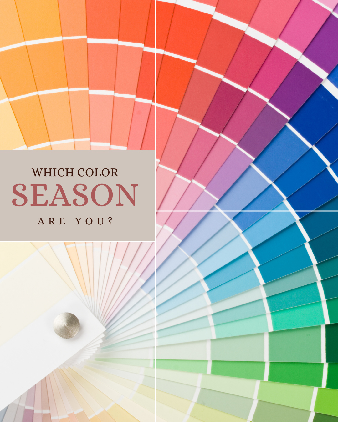 Dress with Confidence with a Fashion Palette That Flatters You