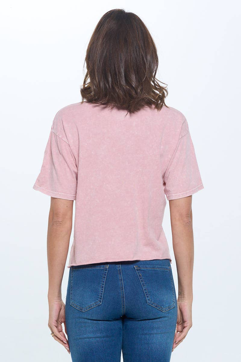 Blank Mineral Washed Cropped Tee: Dusty Pink