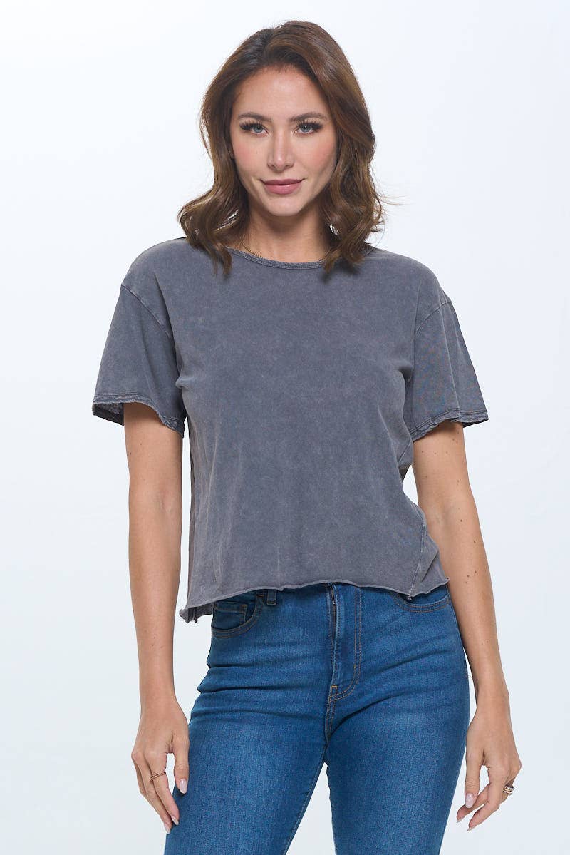 Blank Mineral Washed Tee Gray